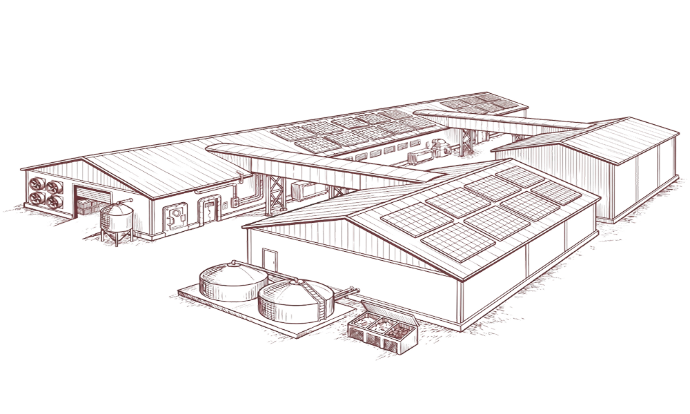 Chicken Farm